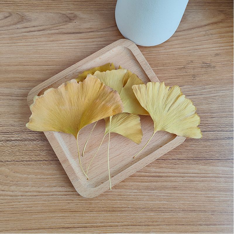Natürliche Getrocknete Ginkgo  – Soap Making In Home Bewertung und Preis